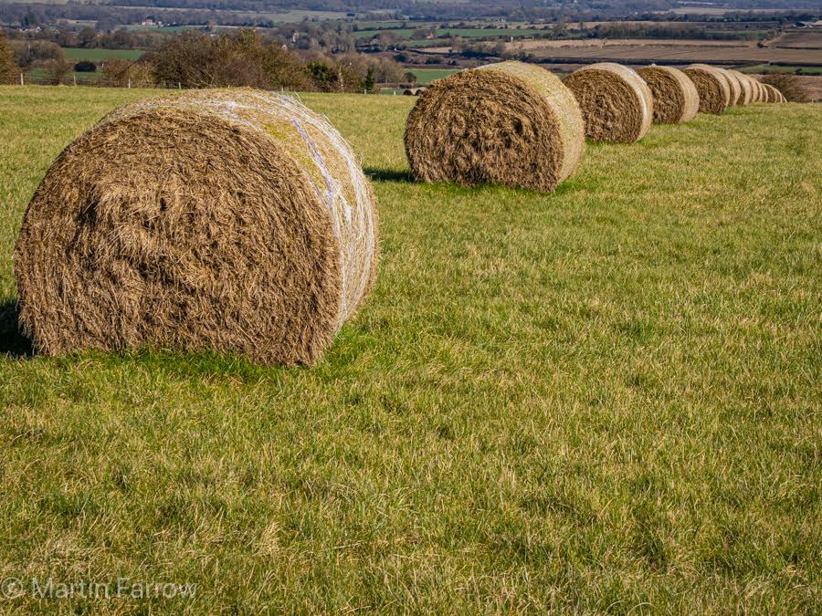 Round Haybales in field